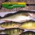 Mister Twister Electric fillet knife