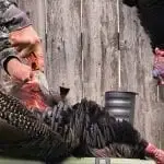 Turkey hunting turkey hunting vest
