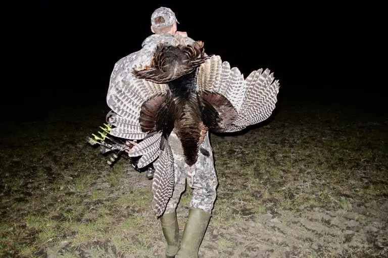 Turkey Calls