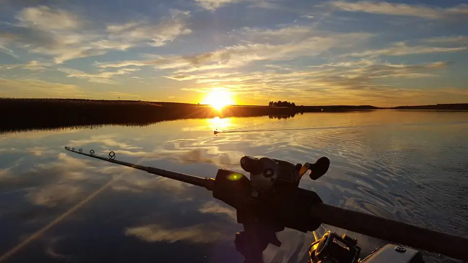 Best Crankbait Colors 2018