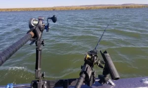 Best Rod Holders