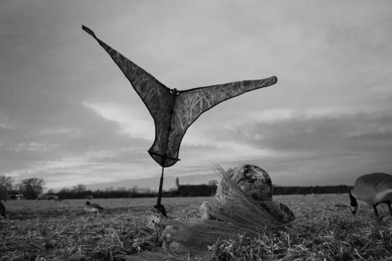 Goose flag