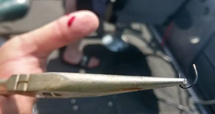 Fishing Lure Removal