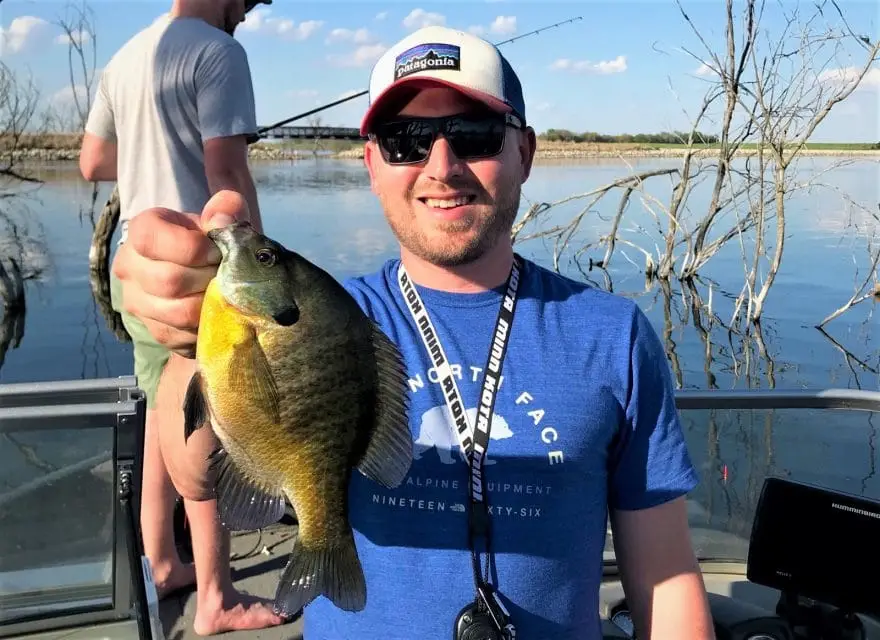 bluegill fishing