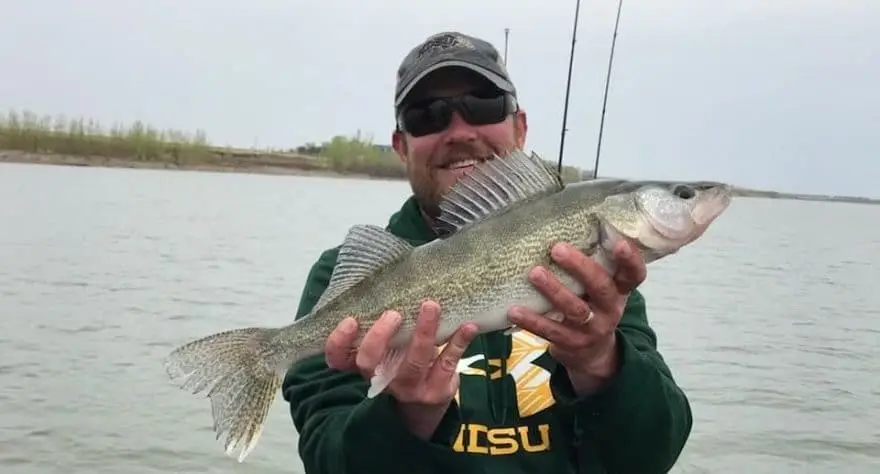 Trolling Walleyes