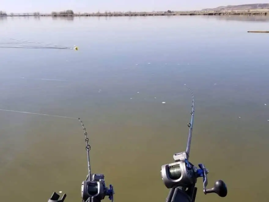 Walleye Trolling for Beginners