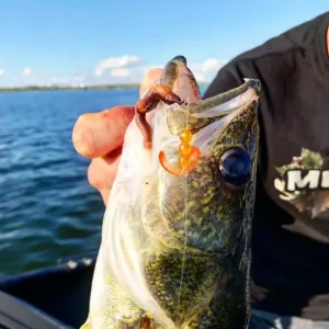 Northland butterfly blade