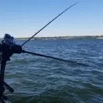 Planer Boards Review