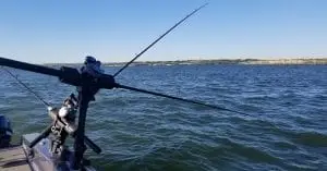 Planer Boards Review