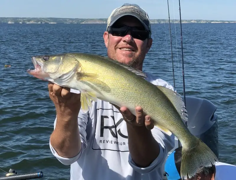 Walleye Snap Weights