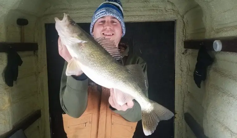 Walleye Ice Fishing Lures