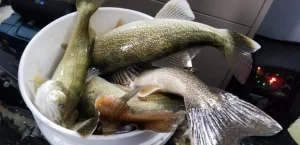 Cordless Drill Ice Auger