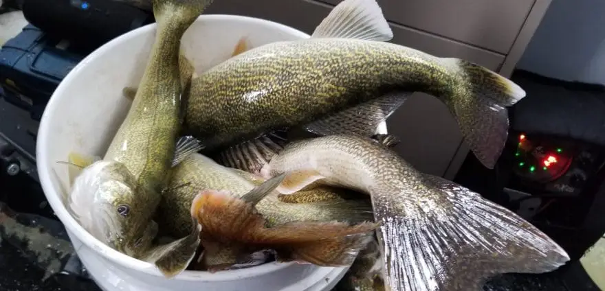 Cordless Drill Ice Auger