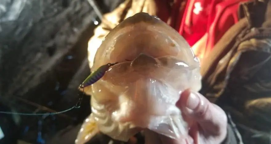 Best Ice Fishing Combos