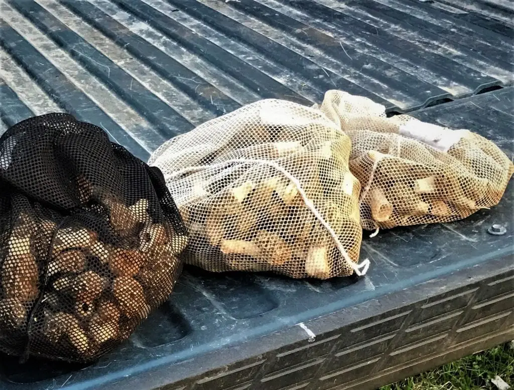 morel mushroom hunting bag