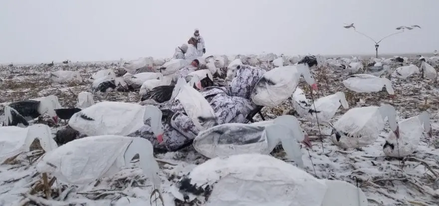 rechargeable hand warmers