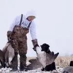 Goose Hunting Tips