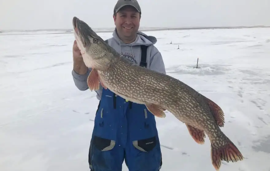 Best Ice Fishing Tip Up