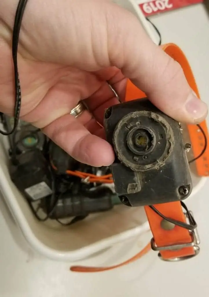 Dog Shock Collar Review