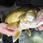 Fishing Line Knot Tool