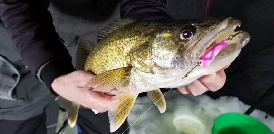 Fishing Line Knot Tool