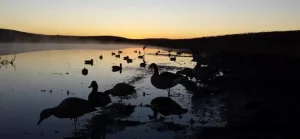 Best Video Cameras for Hunting Fishing