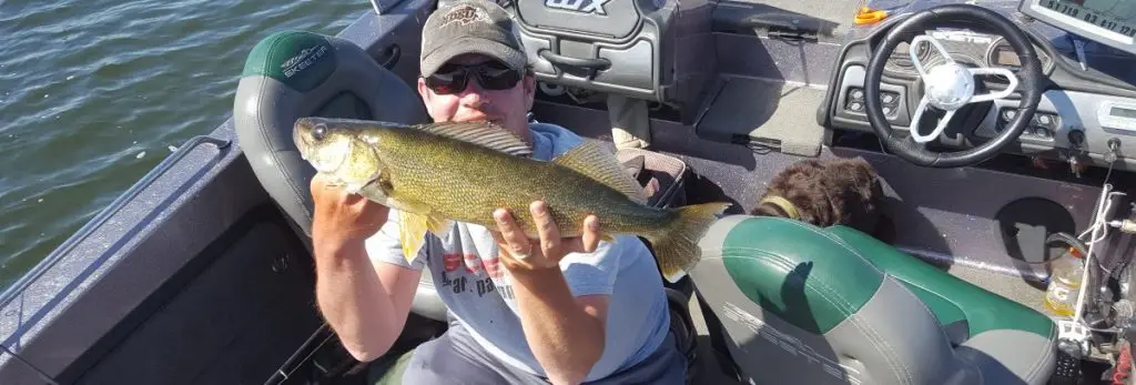 Shallow Walleye Crankbaits