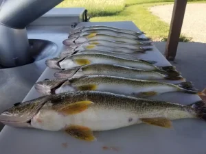 Fishing Resorts on the Lake
