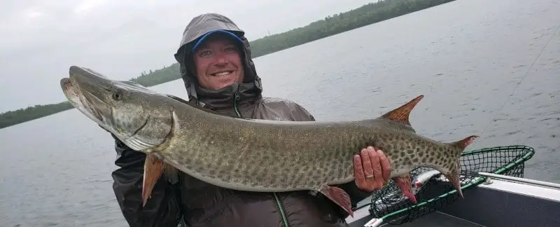 Trolling for Musky