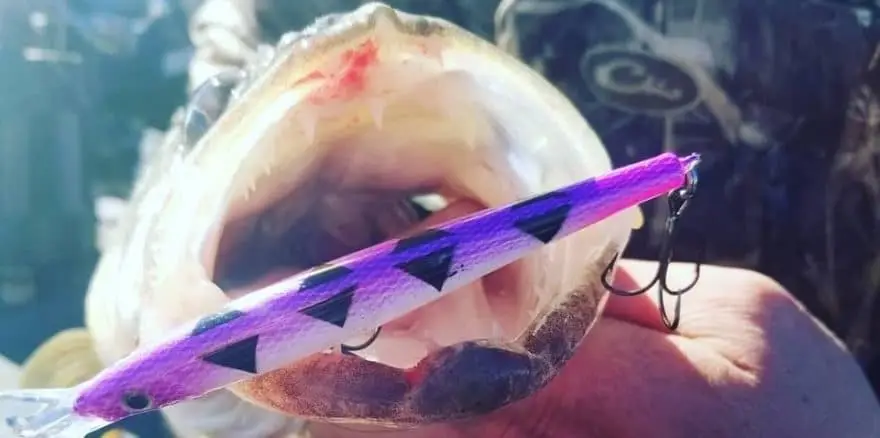 Custom Painted Crankbaits