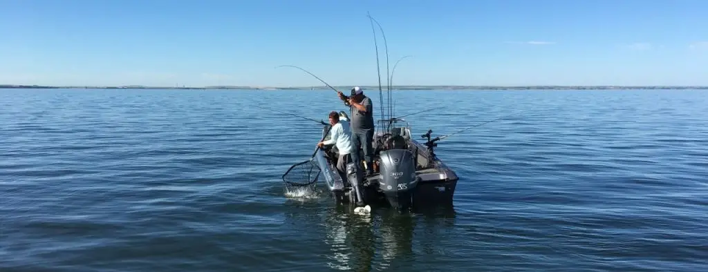 Fishing Jigging Raps