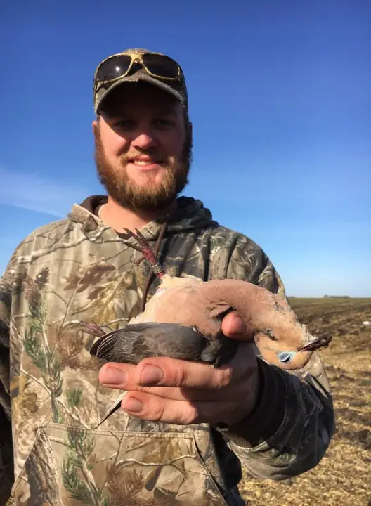 dove hunting camo