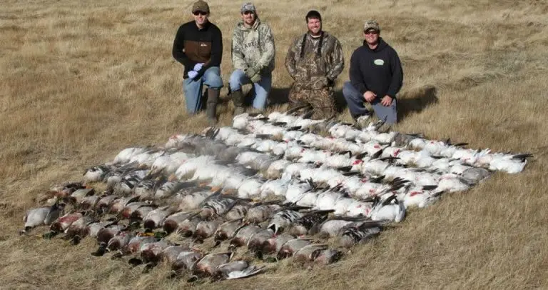 Waterfowl Hunting Etiquette