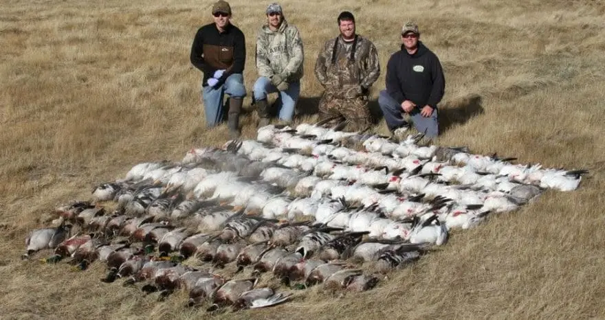 Waterfowl Hunting Etiquette