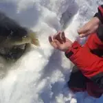 Early Ice Fishing