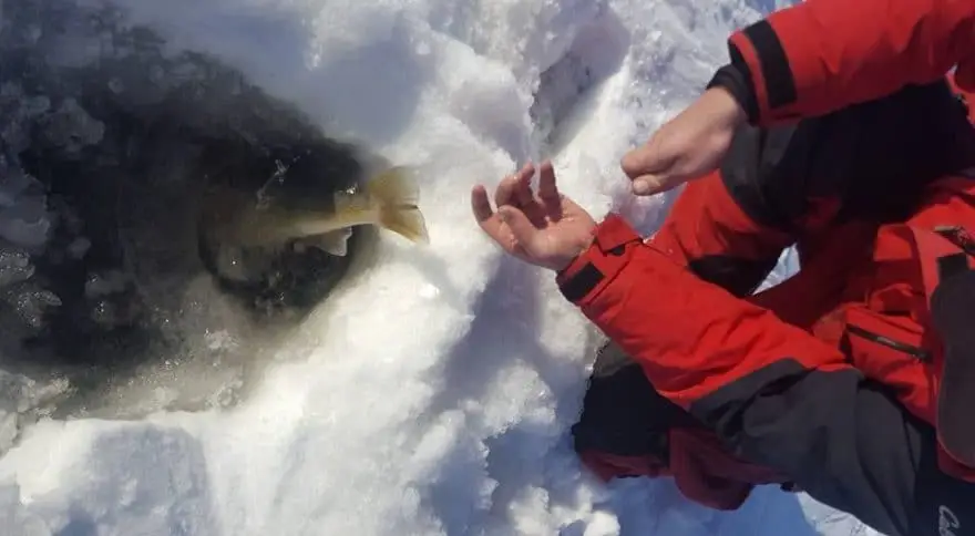 Early Ice Fishing