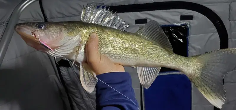 Ice Fishing Jigging Spoons