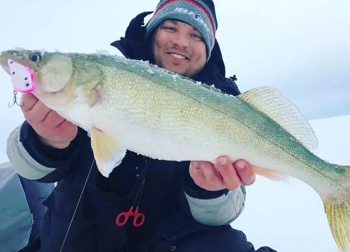 Custom Painted Lipless Crankbait