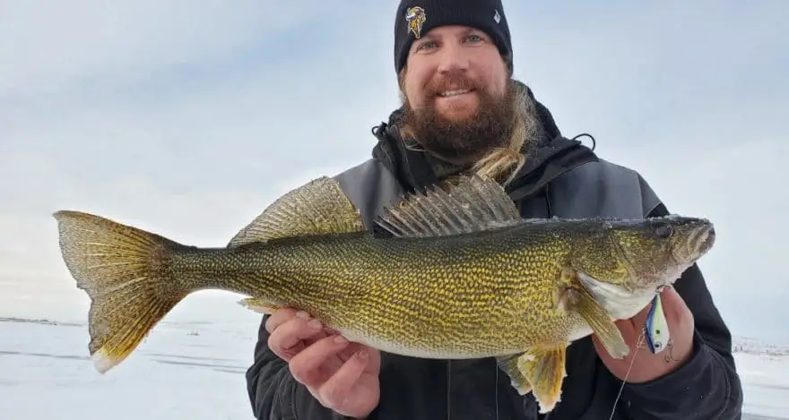 walleye ice fishing lure