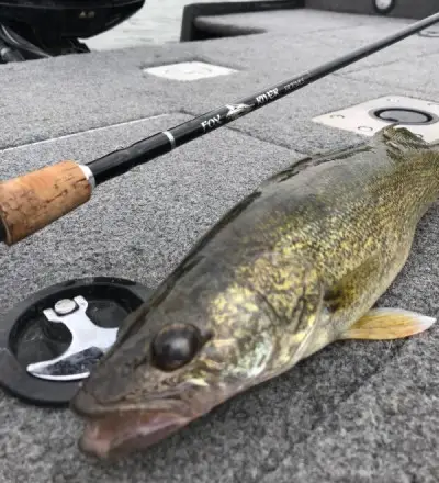 Fox River Walleye Rod