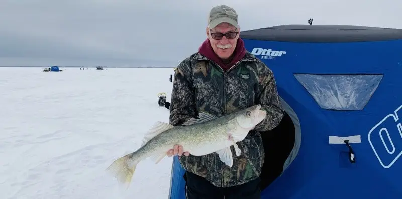 Lake Winnipeg Walleye