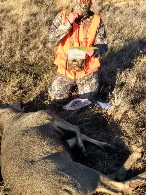 Montana Mule Deer Hunting