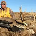 Mule Deer Hunting in Montana