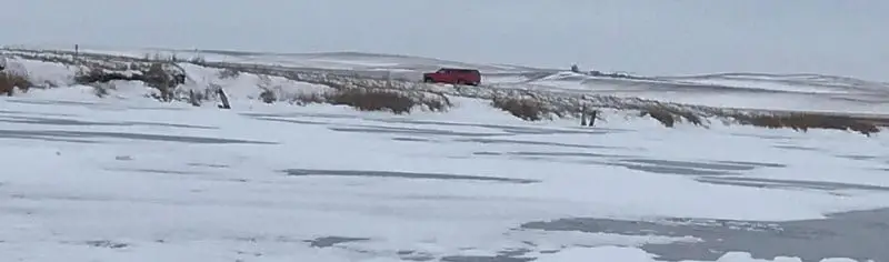 perch ice fishing slough