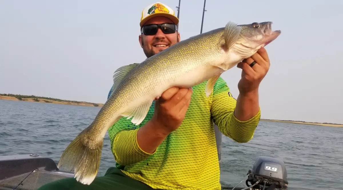 Walleye Trolling Guide