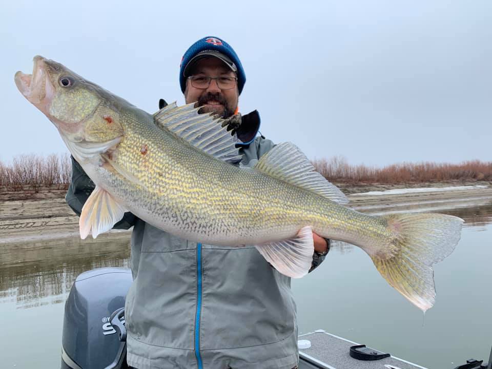 spring river walleye fishing tips for monster fish