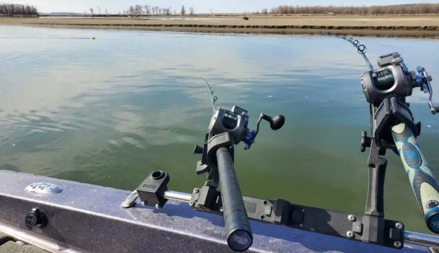 Shallow Water Walleye Trolling
