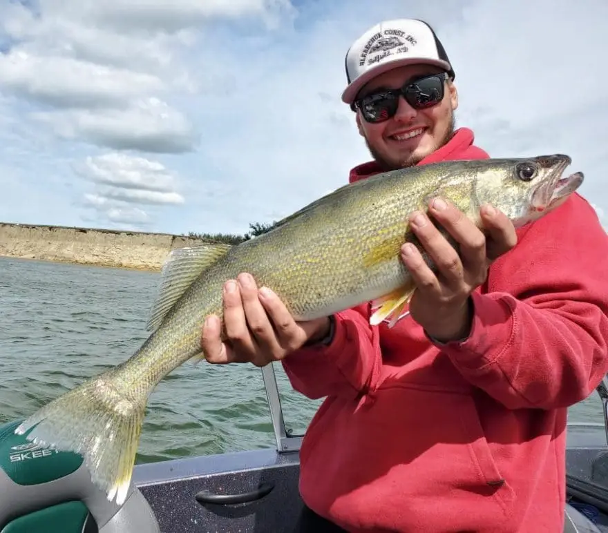 big walleye
