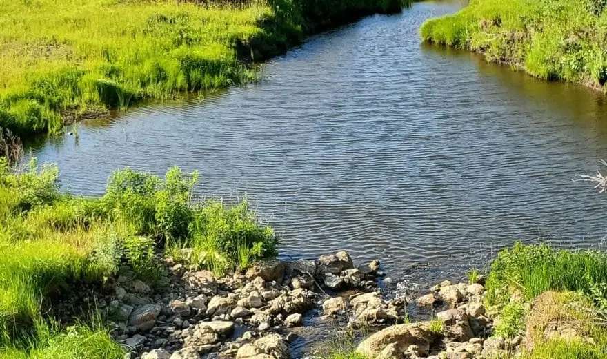 Typical chub creek