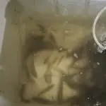 Portable Fish Aerator